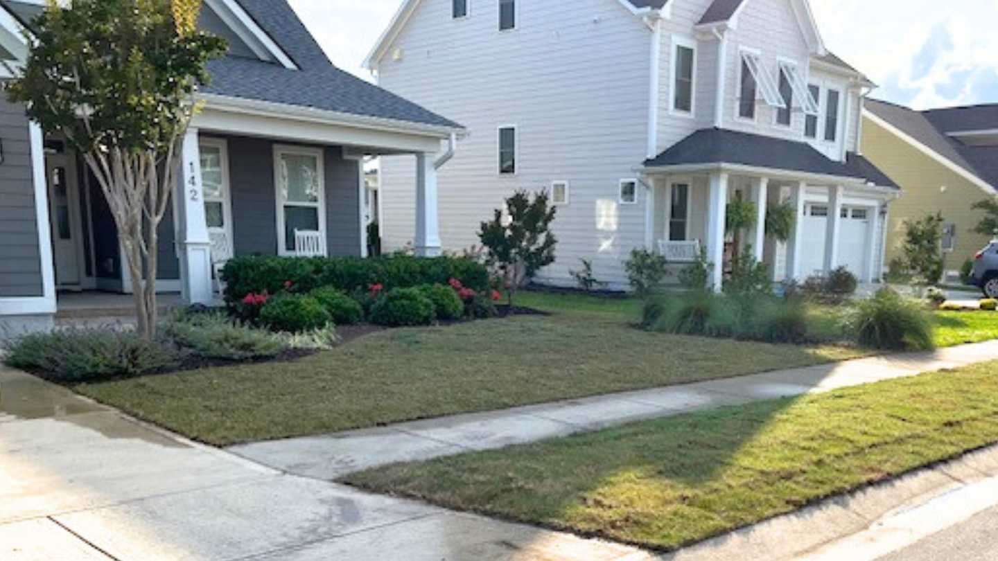 Bermuda grass sod